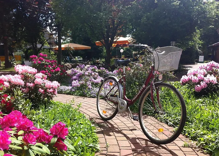 An Der Therme 3* باد فيلسناك